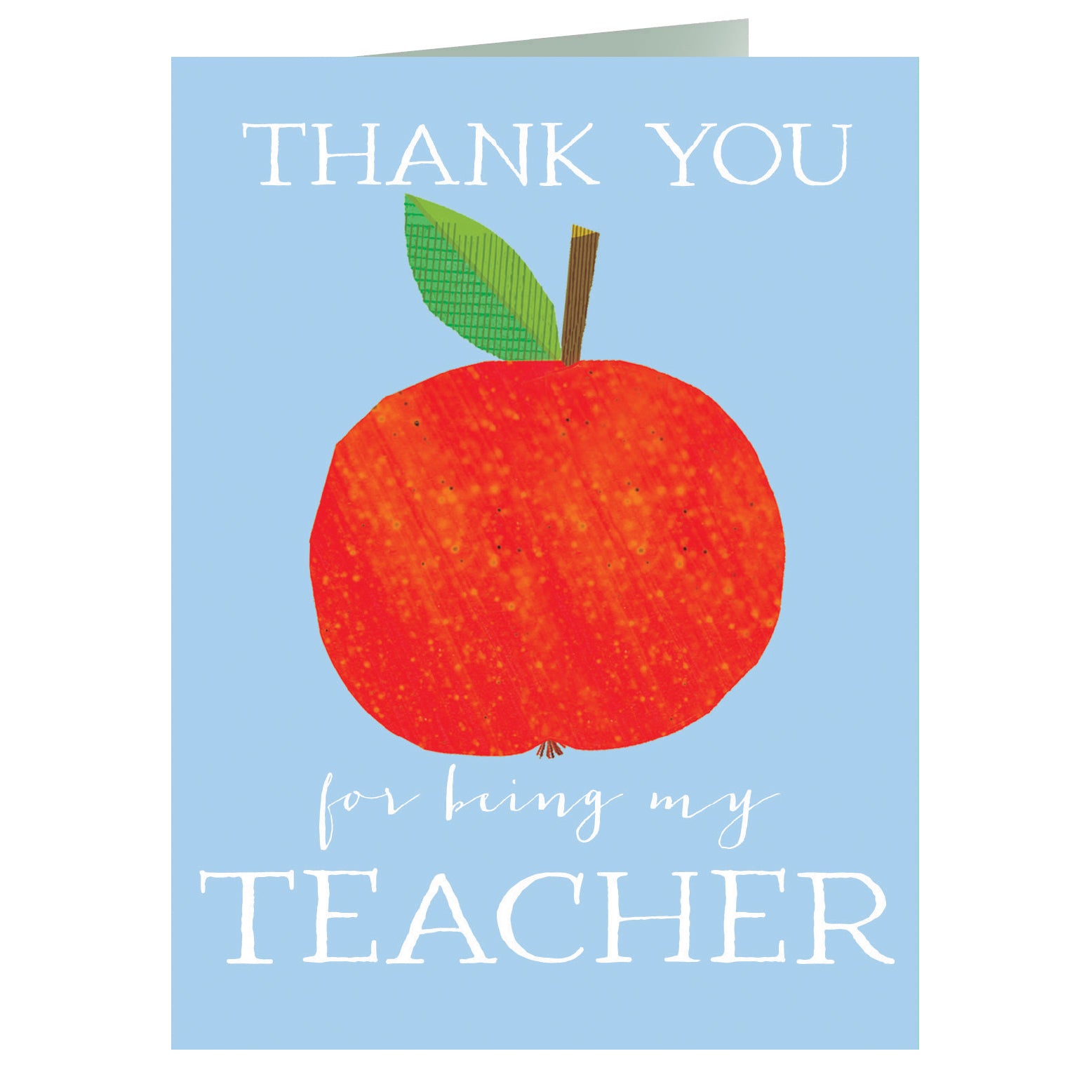 TW651 mini thank you teacher apple card
