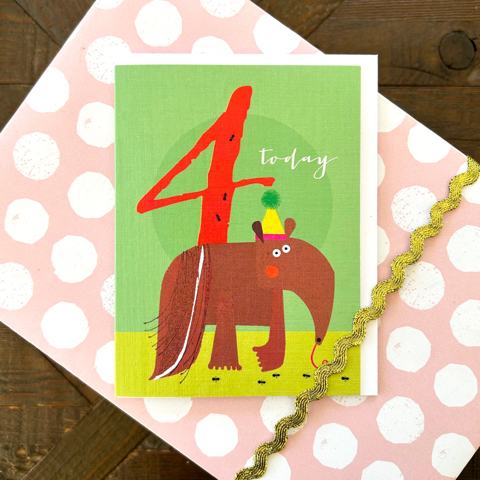 TNA04 mini anteater 4th birthday card